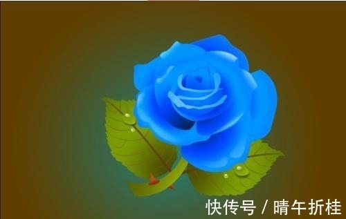 金牛座|未来一个月，桃花蔓延，“转角遇真爱”，爱情远道而来的4大星座