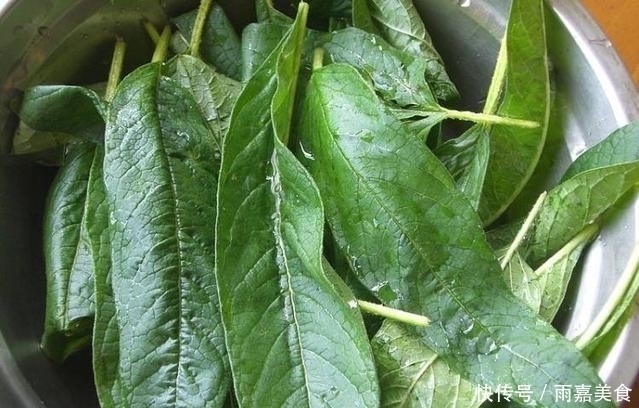 儿子|被当成垃圾的它，老婆用来做饺子，上桌后儿子连吃35个都不过瘾