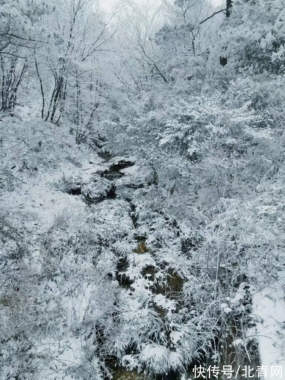 云海|太美了！台州最新雪景！括苍山跌至-10℃，再现云海奇观