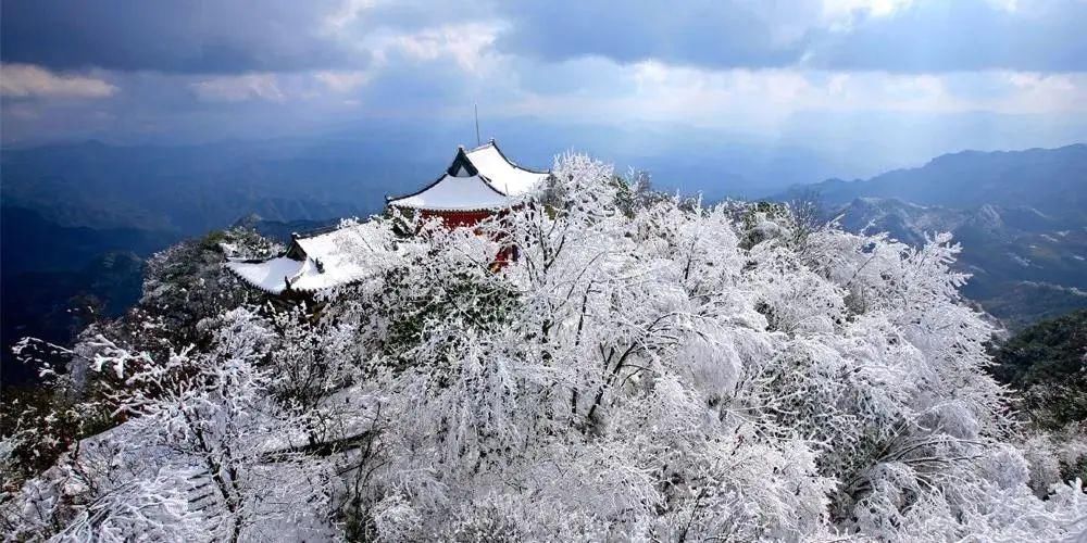 1小时飙拢！去重庆看雪！云海雪山森林，下山还能泡温泉！