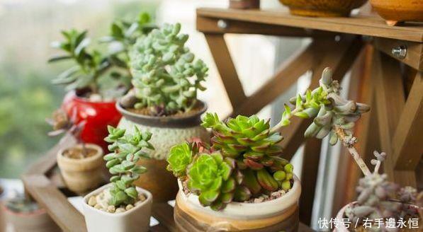 养花换下的土壤这样操作,就能无限循环