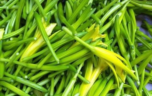 食物|女性不愿老太快，坚持吃三种食物，补充营养，越吃越年轻！