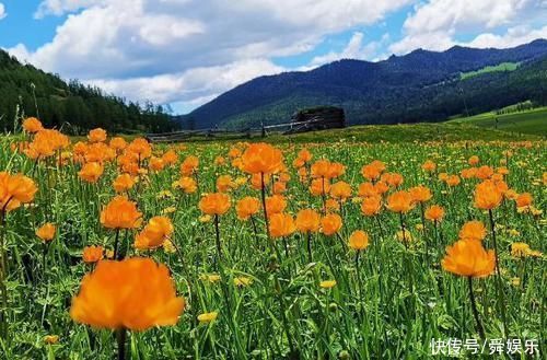 天生“老板命”!这4大生肖注定能够功成名就,想不发财都难