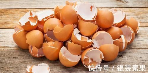 用鸡蛋壳养花，少了这2步就得招虫子，养啥啥不行