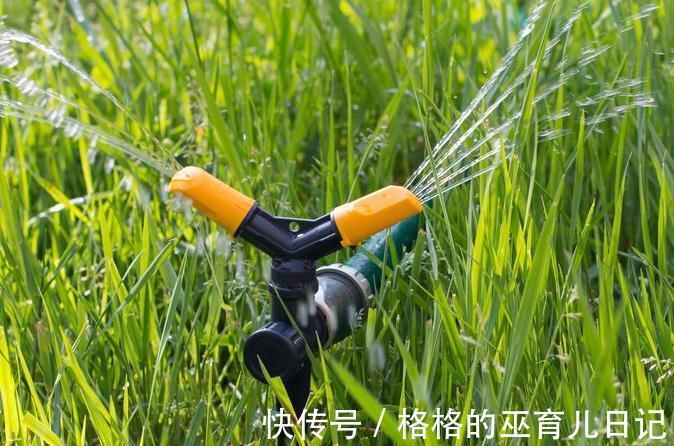 名词|见干见湿,定根水,这些绿植大神口中的专业名词原来是这个意思