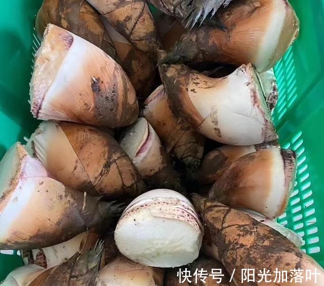 美食|农家美味，下饭开胃美食！