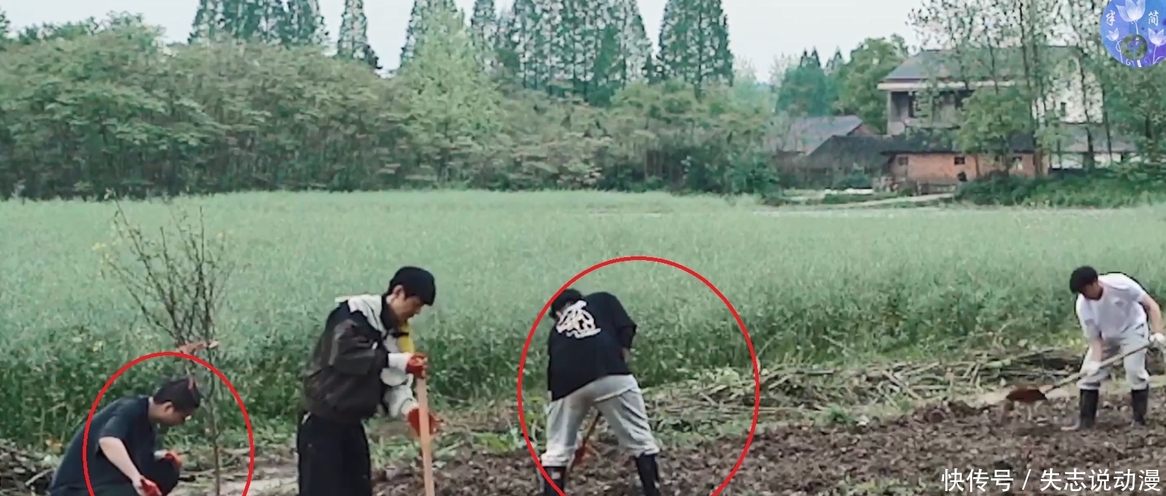 张子枫|最懒嘉宾出现?李诞陈赫遭网友吐槽,《向往的生活》收视堪忧