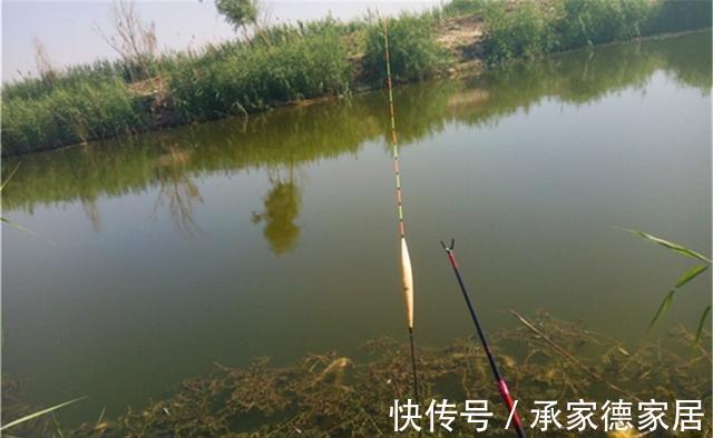 目数|浮漂自身的灵敏度,跟吃铅大小有关,跟漂尾的粗细、长短也有关联