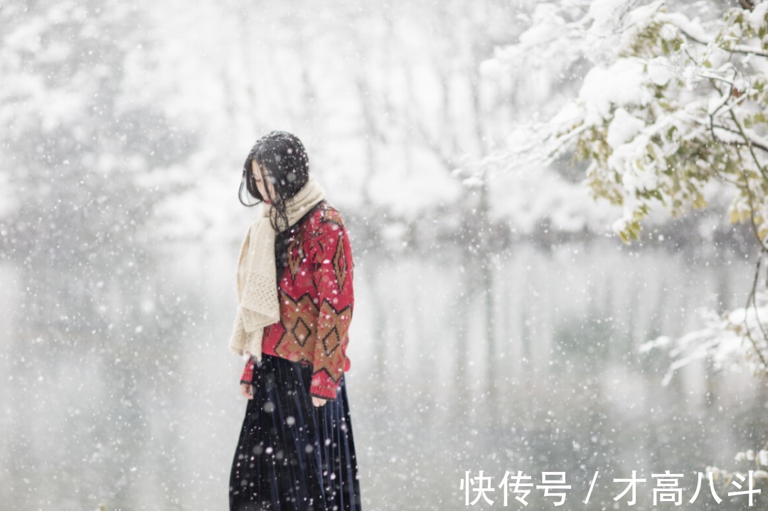 为你而来$苏轼:总有一场雪,为你而来