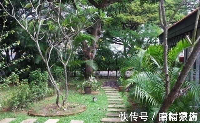 乳酸|被蚊子“选中”的宝宝,是因为甜度高吗?蚊子的口味其实是这样的