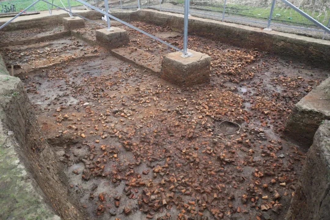 石家河遗址$考古大发现！天门石家河遗址上榜！