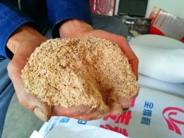 气温低于10℃,其他饵料都比不了“它”,加5瓶小药都没用!