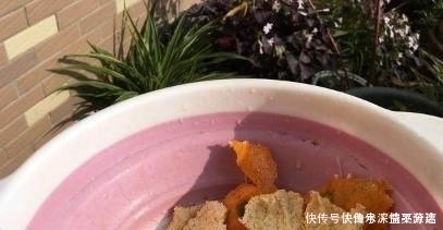 这种渣子别扔掉了，发酵下用来养花，比花肥好