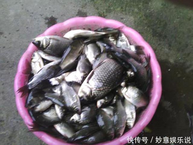 生活环境|这类垂钓行为将被严厉打击,钓友要远离