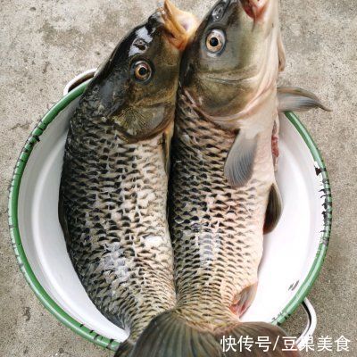 烤箱|正宗无烤箱版香辣烤鱼