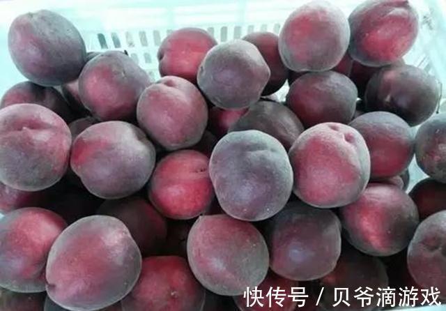 四川发现一个大叔种的果树！果肉鲜甜多汁，富含花青素