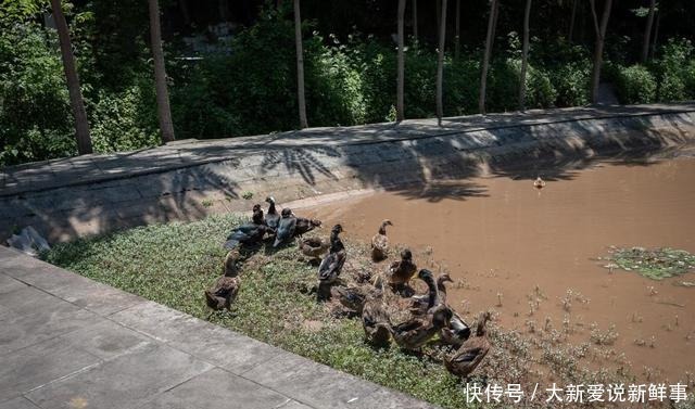 安岳|地方可以看到卧佛，建在半山腰上的，真的非常震撼。