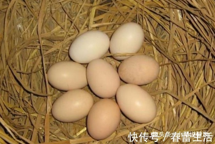 延缓衰老|长寿老人爱吃的此种食物,延缓衰老、健脑益智,早知早受益