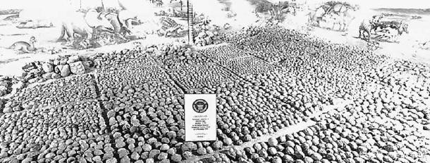 化石|馆藏恐龙蛋化石之多创吉尼斯世界纪录,现实版“侏罗纪公园”在这