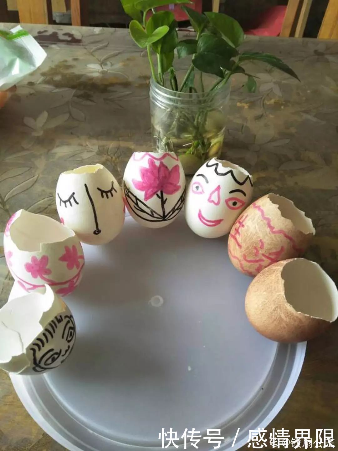 多肉盆栽猪肉这么贵,骨头洗干净种多肉,比花盆还好看