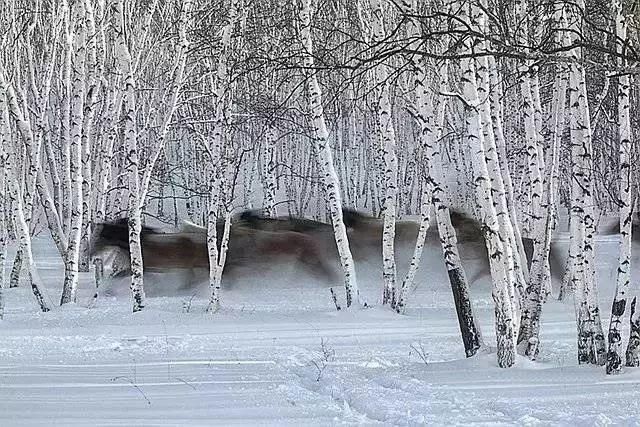 雪漫|雪漫中国，绝色江山！