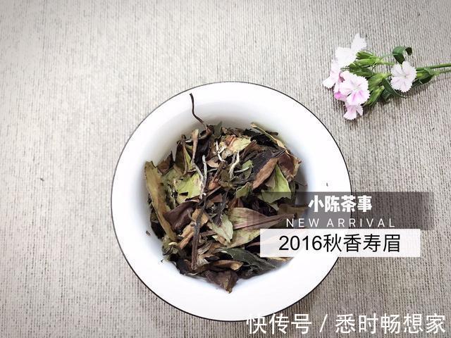 白毫银针|春有百花秋有月，一起来看看，春白茶和秋白茶究竟有哪些不同