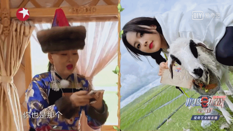 盘点 2021 年下饭综艺，这几部综艺让人笑到“头秃”