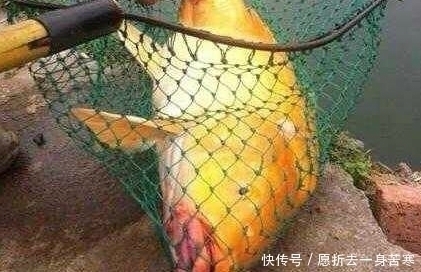 小马|小伙河边钓鱼用这个做鱼饵,围观群众嘲笑他,随后统统闭嘴