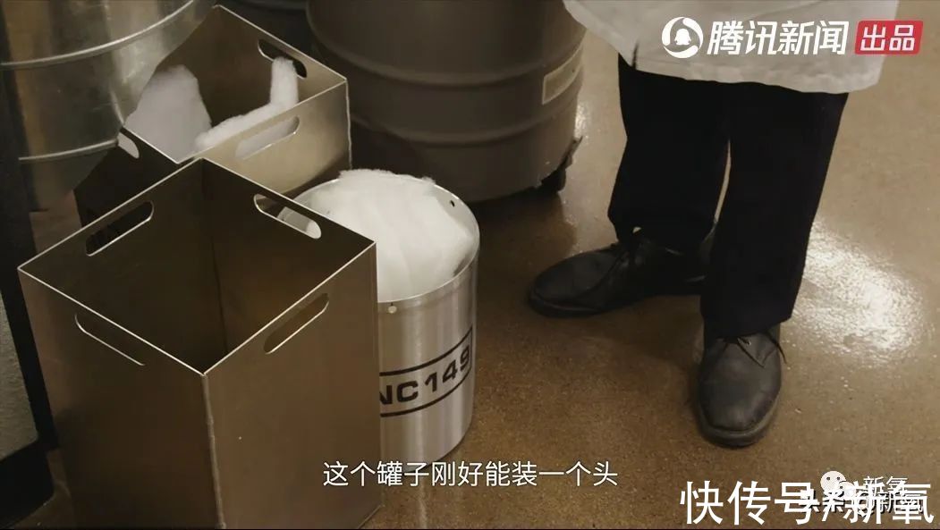 抑制素|长生不老？别骗人了