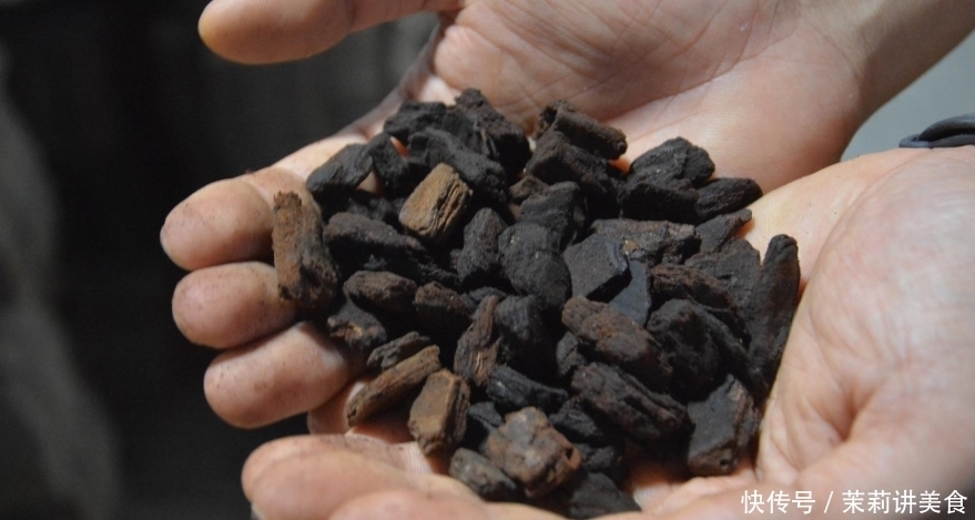 松树皮其实是个宝,营养丰富胜化肥,养啥啥壮真给力