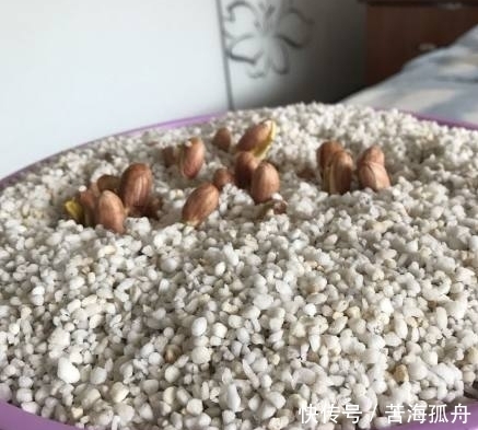 炸花生原来还可以这样利用，太聪明了，又营养又好吃！太赞了！