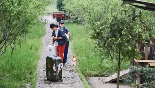 鸡爪|那姐一句无心之言，点破黄小厨真实厨艺