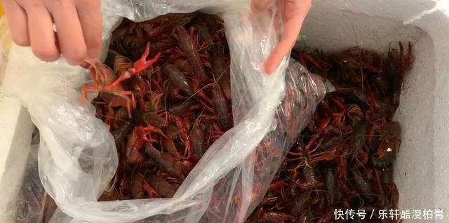 手软|夏天，碰到此肉别手软，一次性买30斤，放冰箱冻起来，特省事！