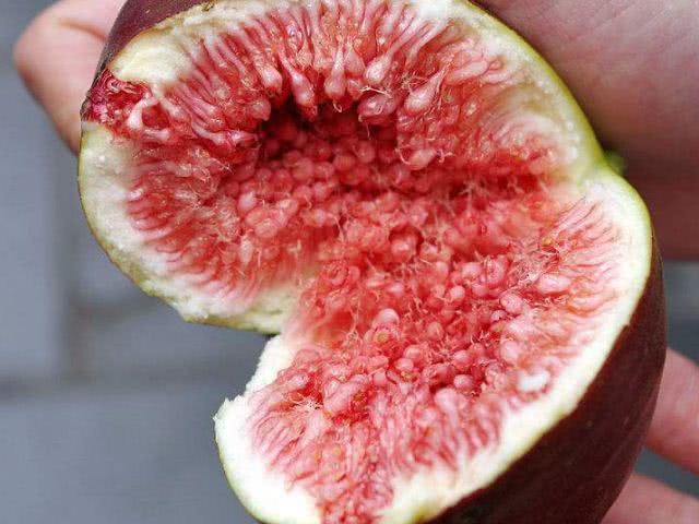 女人|女人再节俭，也不能不吃这3种“零食”，唤醒雌激素保护子宫！