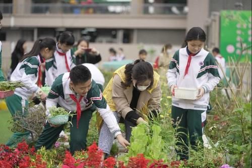 荔湾这所小学把课堂从教室搬到了天台，学生们从此爱上劳动