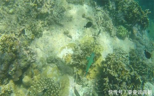 海洋 科学家发现5个地下海洋,有没有可能,地球上的水来自那里