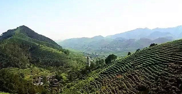 綦江青年:塔碑风水斗的百年恩怨