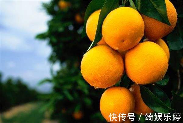 菠萝|5种水果,糖尿病患者放心吃,保持血糖稳定,还能降血糖