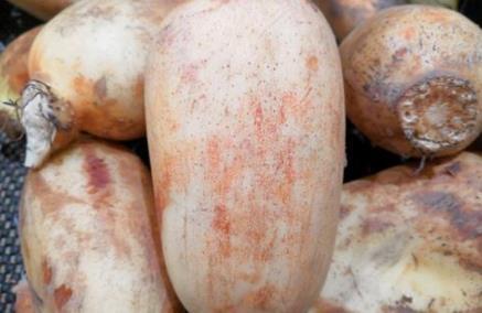 胃炎|它是幽门螺杆菌的“克星”,经常食用一点,胃炎,胃溃疡不再来