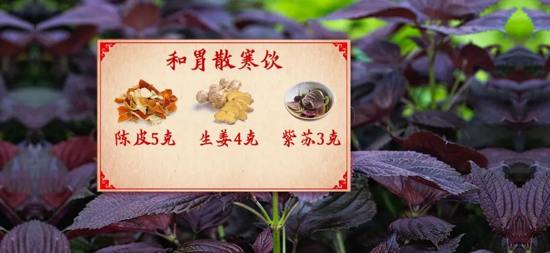 气滞|家里种盆它，药费不用花！全身是宝，润肺润肠又暖胃，用水一泡，好处特多！