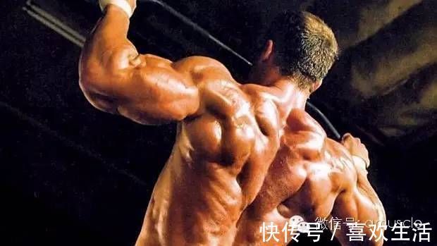 髋部|难怪他健身从不受伤,看完秒懂怎样保护膝盖、手肘、背部了!