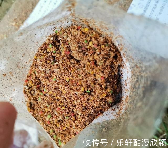 冬季钓鲫鱼的窝料好不好你说了不算,鱼说了才算,这种窝料很招鱼