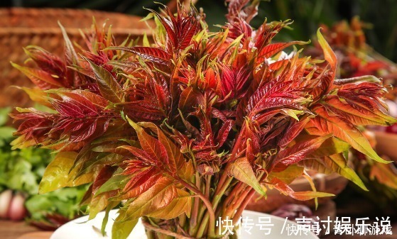 野菜|3月的野菜最鲜嫩,爱吃野菜人牢记这3点,让你放心“尝鲜”