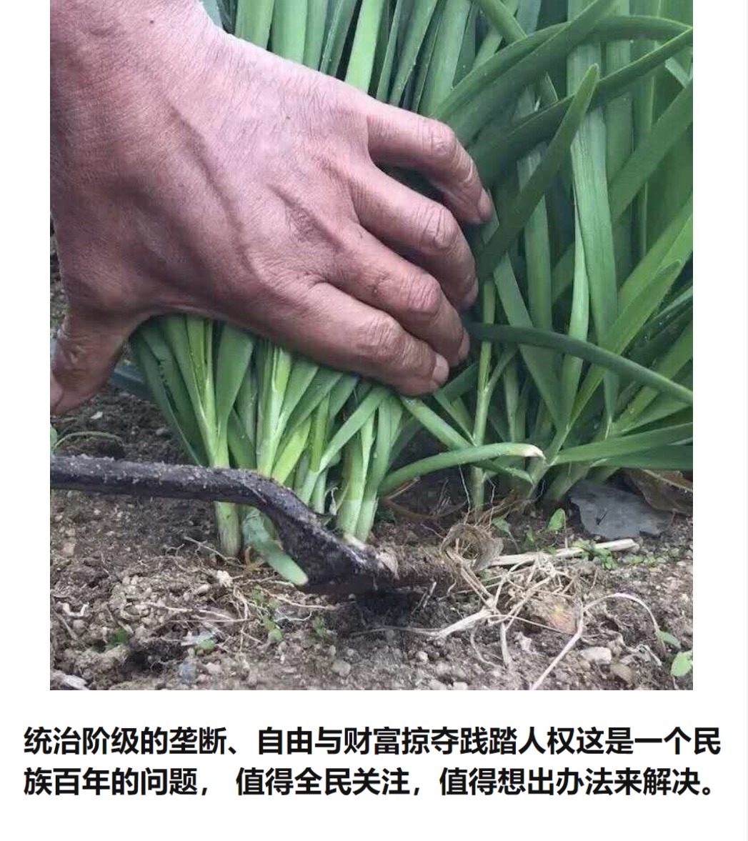 长寿|长寿的秘诀就是懒!越懒越健康!