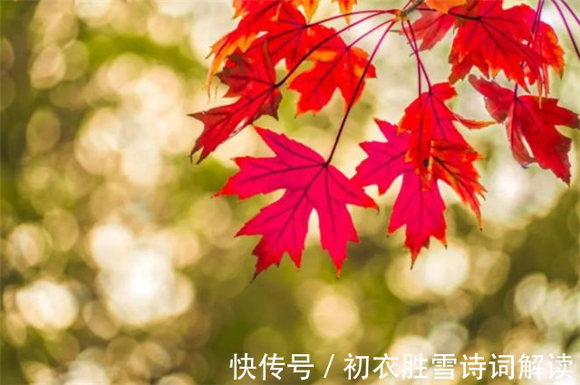 晚秋$晚秋明丽古诗词五首:见底高秋水,开怀万里天