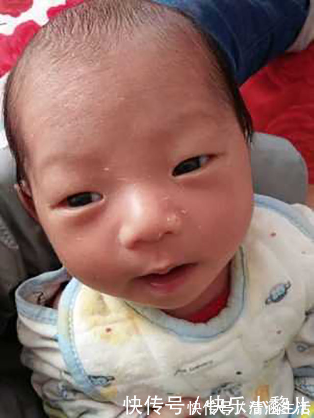 绒毛|宝妈吐槽自己生了一颗“猕猴桃”,晒出宝宝照片后,网友恍然大悟