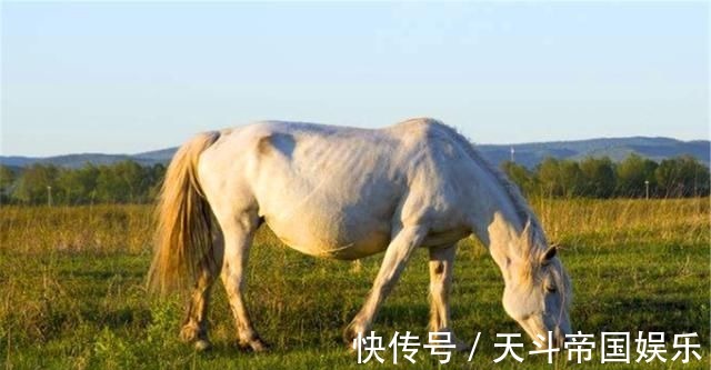 瞒昧@“人有善愿,天必佑之”:老祖宗留下4句处世经典,读懂受益终身