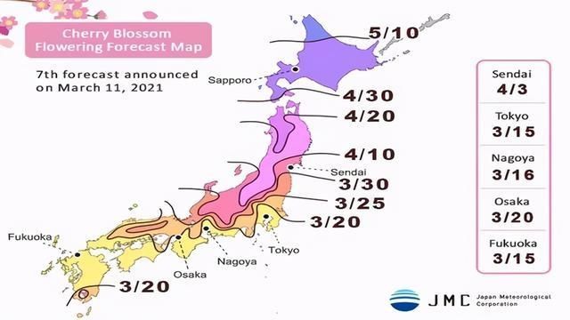 日本：创纪录提前盛放的樱花，和创纪录被挡住的财源