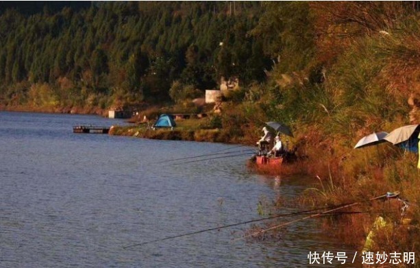 春钓浅滩?非也?老司机倾囊相授:这几个地方或许更藏鱼,莫不信