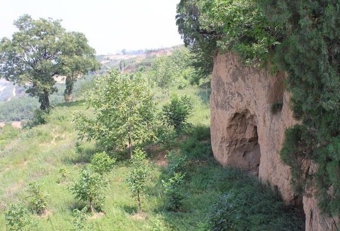 山洞|母狼送给猎户个婴儿，猎户好心抚养20年，婴儿长大后发大财